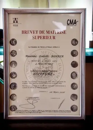 brevet de maitrise